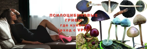 эйфоретик Верхний Тагил