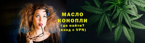 МДПВ Бородино