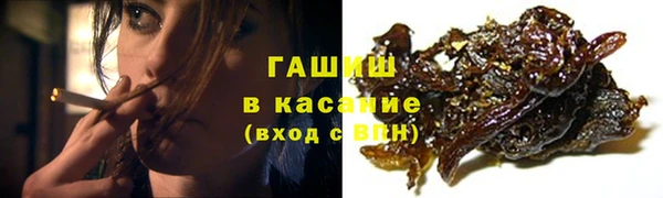 МДПВ Бородино