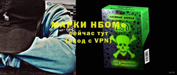 МДПВ Бородино