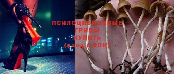 стаф Бугульма
