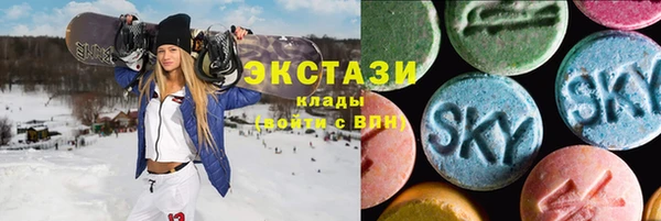 МДПВ Бородино