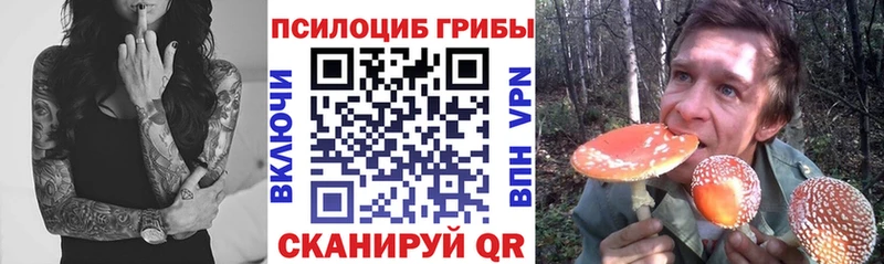 Псилоцибиновые грибы ЛСД кракен ссылки Карабаш